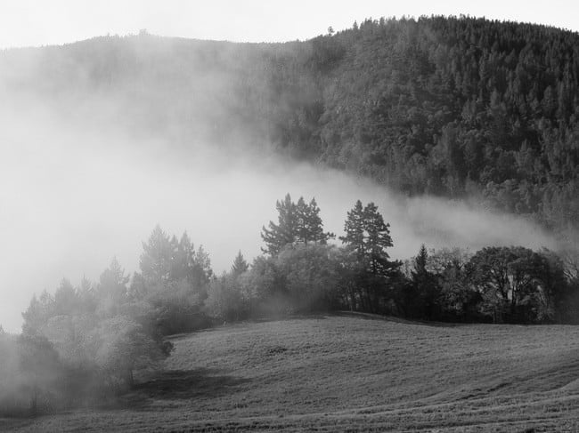 mayacamas-26.jpg