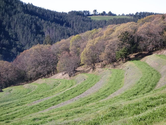 mayacamas-27.jpg