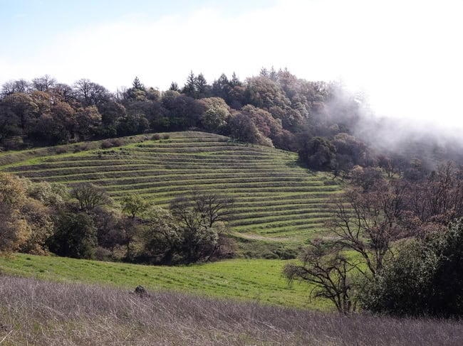 mayacamas-30.jpg