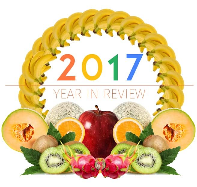 2017 Year in Review