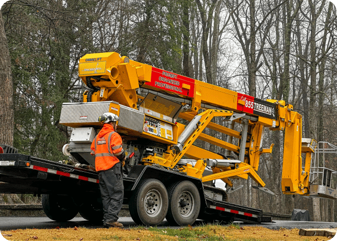 storm damage tree removal Southern Maryland fallen tree blocking residential driveway