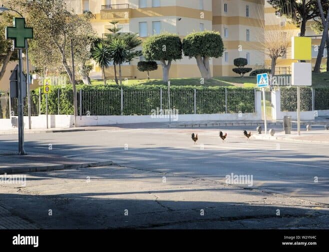 Descubre el Mundo de Emociones en Chicken Road, el Juego de Casino en España