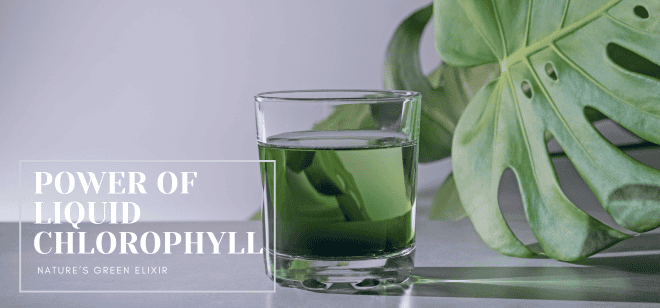 Unlocking the Power of Liquid Chlorophyll: Nature’s Green Elixir