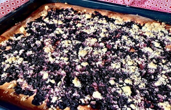 boruvkovykynutykolac2