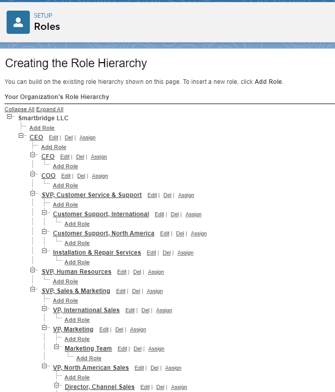 salesforce maintenance and support for user roles