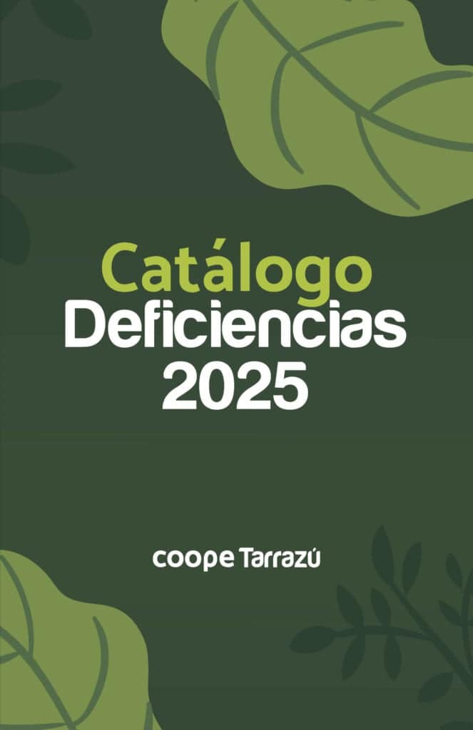 Catalogo de Deficiencias 1