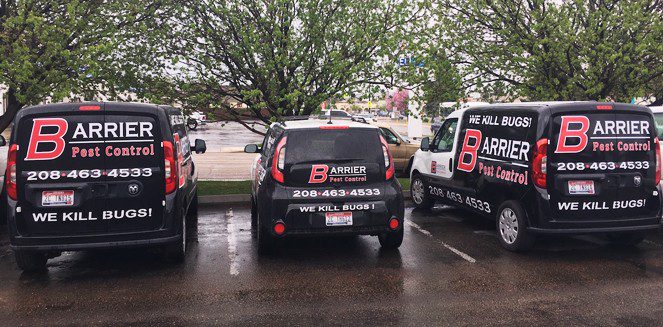 fleet of vehicles