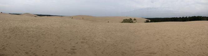 What to Do with Kids at Lake Michigan (mac woods dune rides 3)