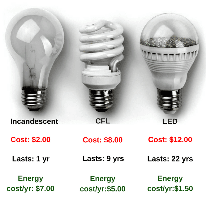 different types of light bulbs compared