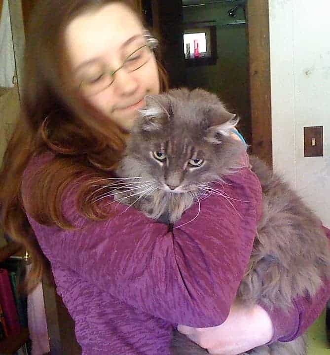 5 Reasons to Adopt a Senior Cat 3 Girl and Grey Senior cat