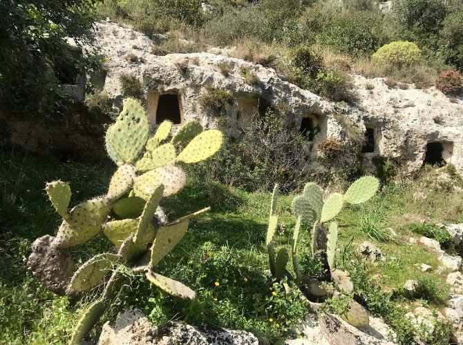 Bronze Age Limestone Tombs in Pantalica Nature Reserve Bronze Age Limestone Tombs in Pantalica Nature Reserve with cacti in front.