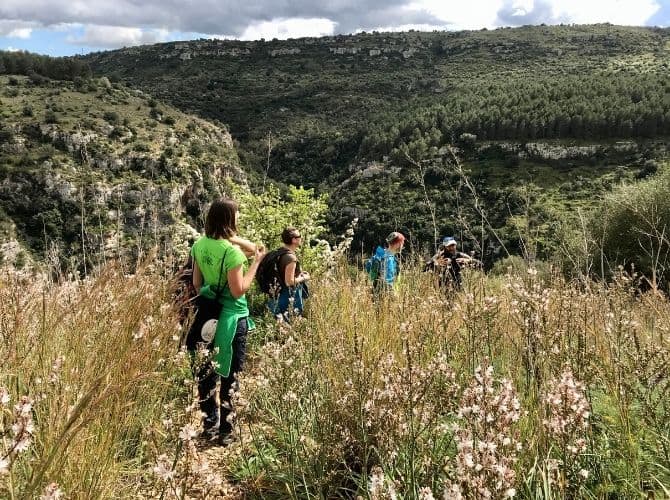 Hiking in Valle dell'Anapo (Anapo Valley) Four people hiking through wildflowers in Valle dell'Anapao (Anapo Valley) in Pantalica nature Reserve