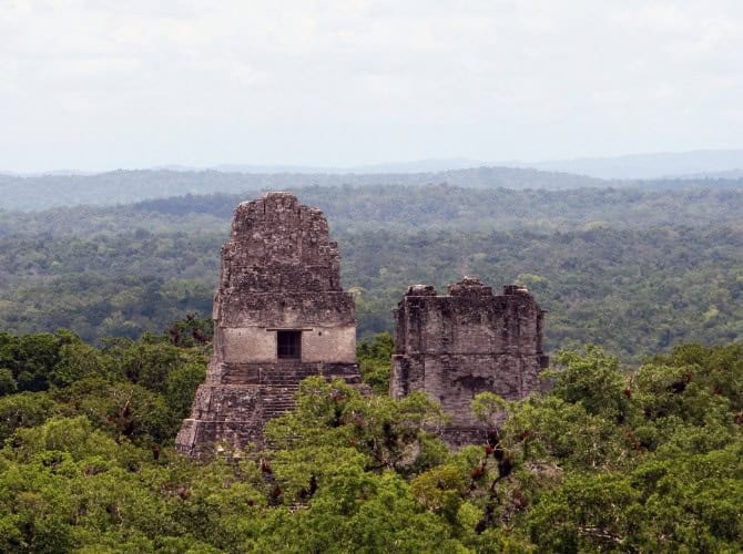 View from Temple IV at Tikal View from Temple IV at Tikal