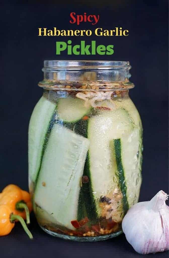 how to make habanero fried pickles | Family Cuisine 4 Homemade Habanero Pickles: Pickled Red Onions