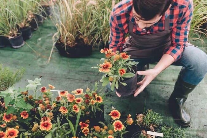 Intelligent Remodeling Ideas For Your New Garden