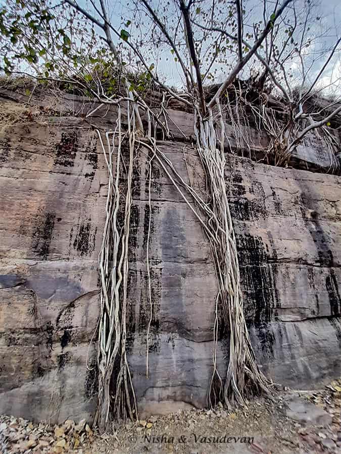Udaigiri  Caves Madhya Pradesh