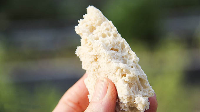 Gluten-free vegan flat bread rice flour, buckwheat tapioca - by Anastasia, Kind Earth
