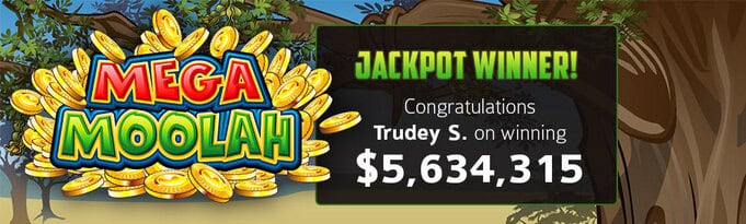 Our player wins $5,634,315 jackpot on Mega Moolah slot!