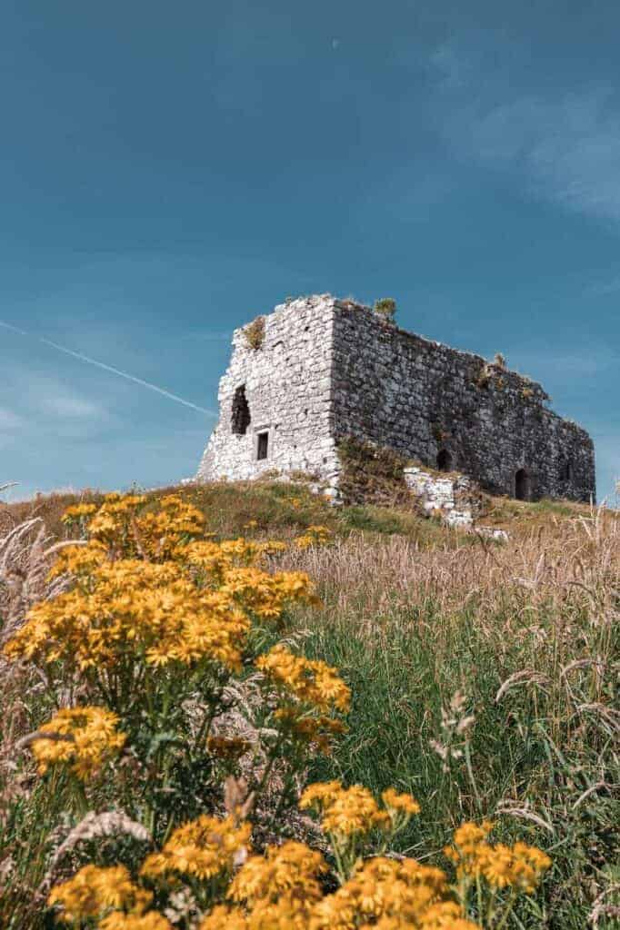 A close-up of the Rock of Dunamase ruins, with yellow wildflowers in the foreground and the stone structure against a clear blue sky.