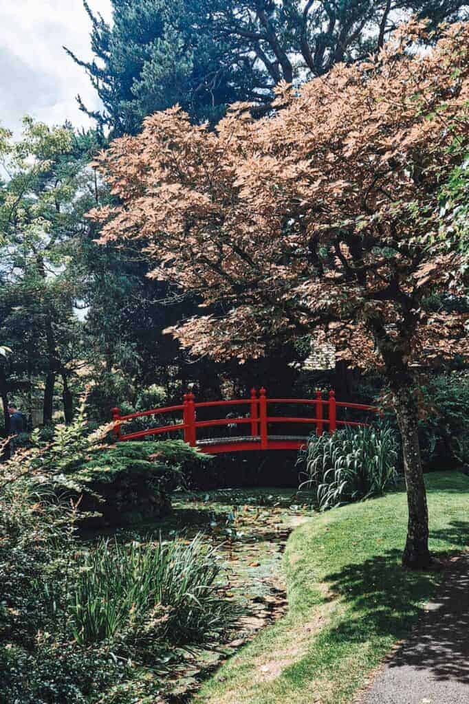 A vibrant Japanese garden featuring a red arched bridge over a pond surrounded by lush greenery and trees, creating a serene and picturesque scene.