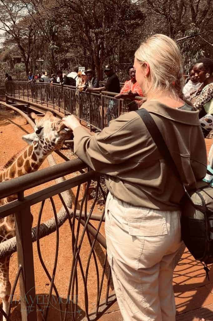 A woman feeding a giraffe from a boardwalk at a giraffe sanctuary, a candid moment captured on safari with people in the background watching the interaction.