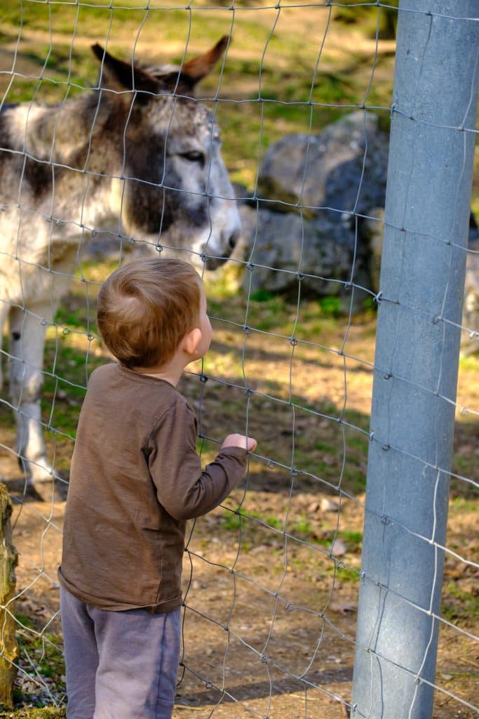 Kind am Eselgehege Süchtelner Höhen in Viersen