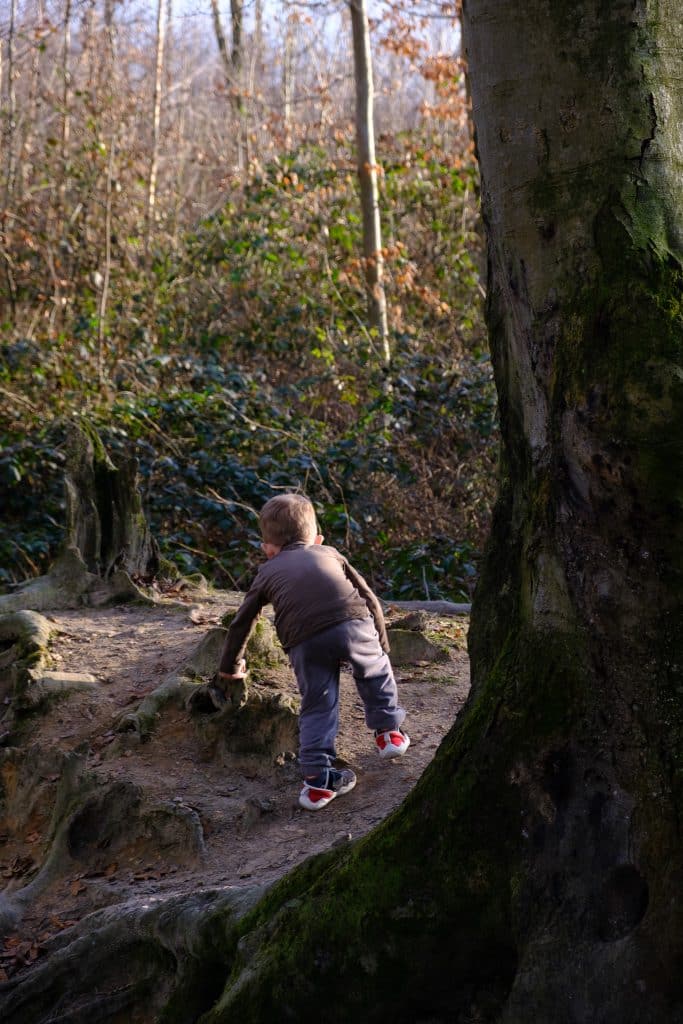 Kind klettert auf Baumstumpf im Wald der Süchtelner Höhen