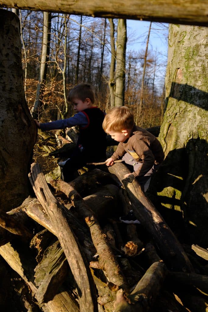 Kinder laufen durch den Wald der Süchtelner Höhen