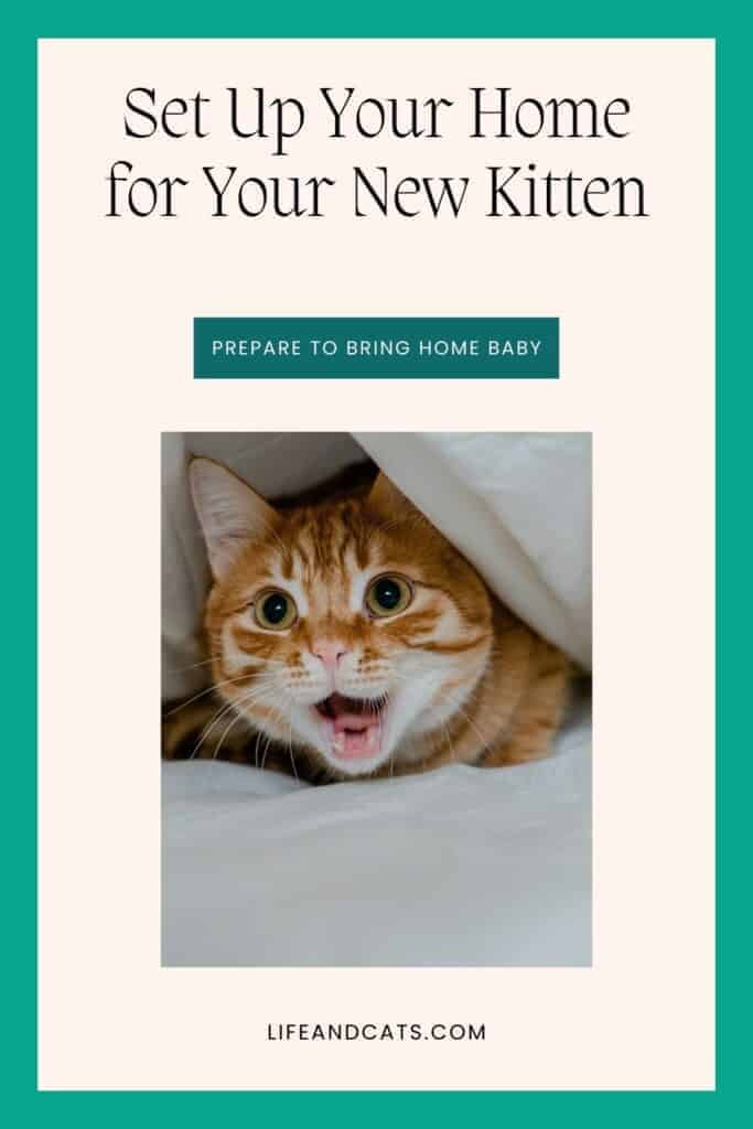 Prepare to Bring Home Your New Kitten: 4 Simple Steps 6 PIn graphic for Bring Home your New Kitten post featuring a red tabby kitten meowing under a white sheet