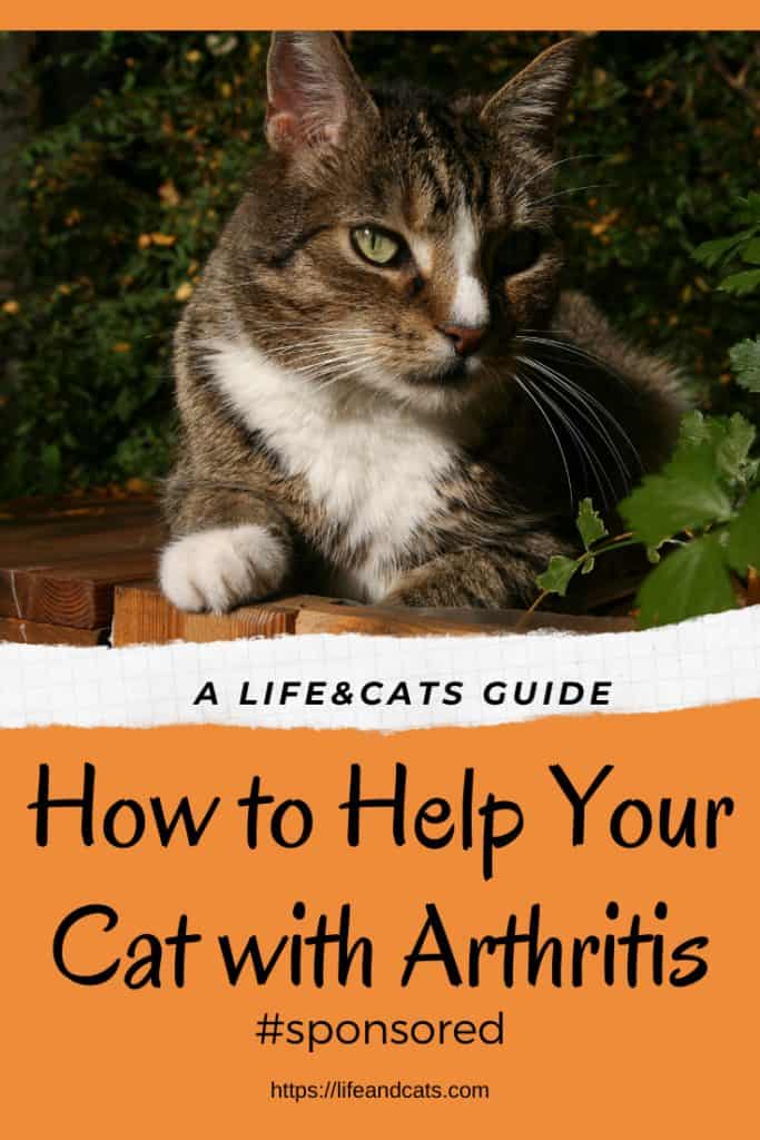 Cosequin for Arthritis in Cats