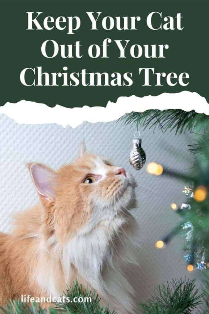 Keep Your Cat Out of Your Christmas Tree
