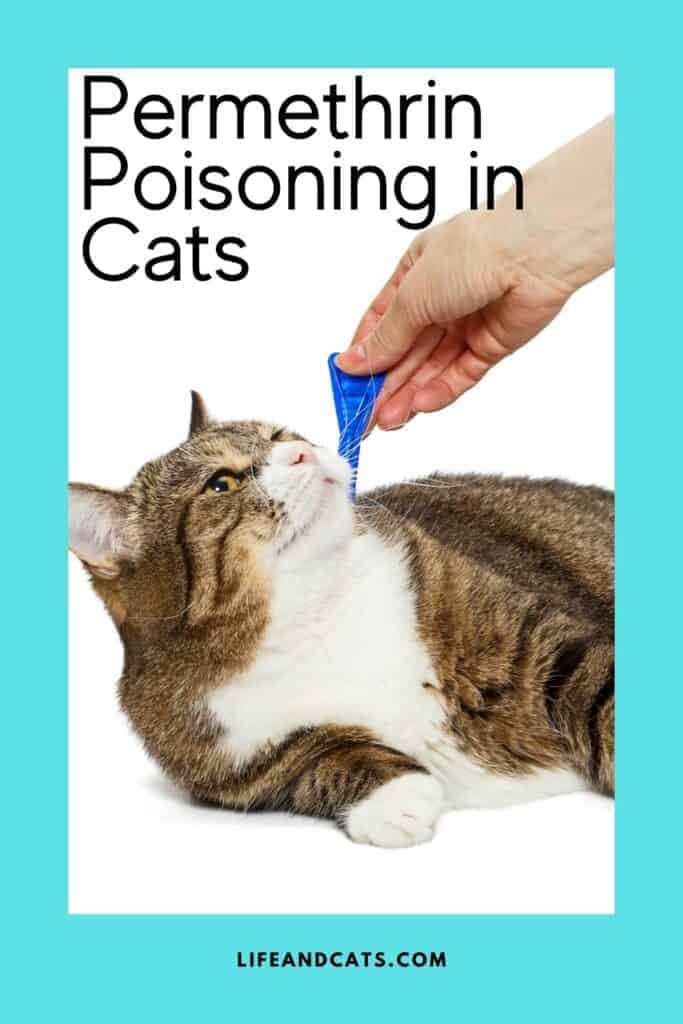 Advantix hot sale cat poisoning