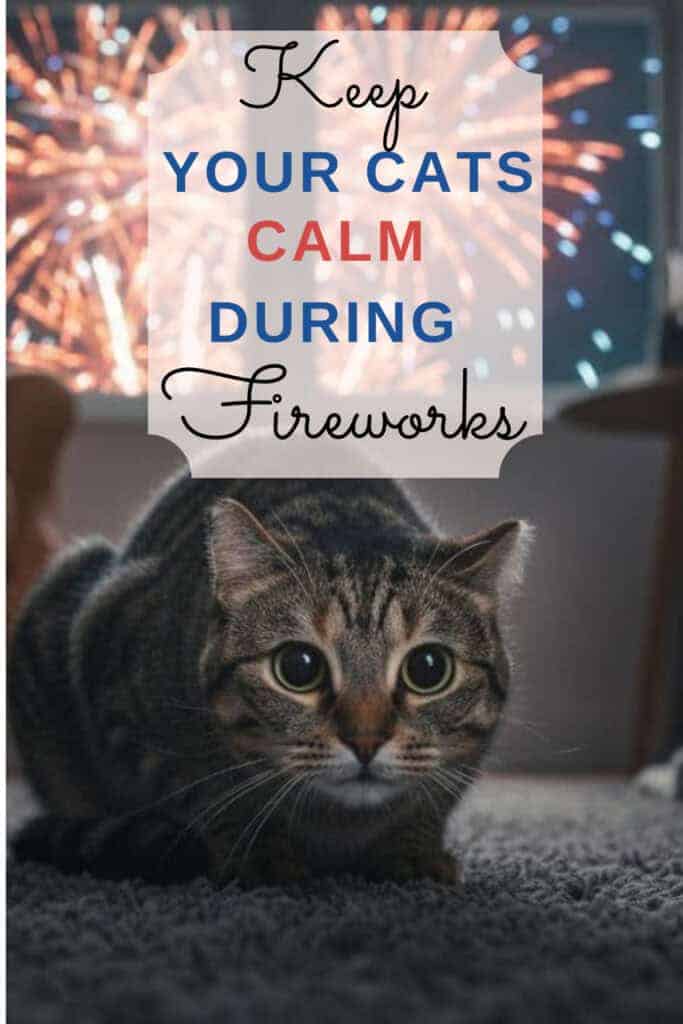 Pinterest graphic featuring a scared tabby cat crouching while fireworks flash outside the window. Use these tips to help keep your cat calm during fireworks