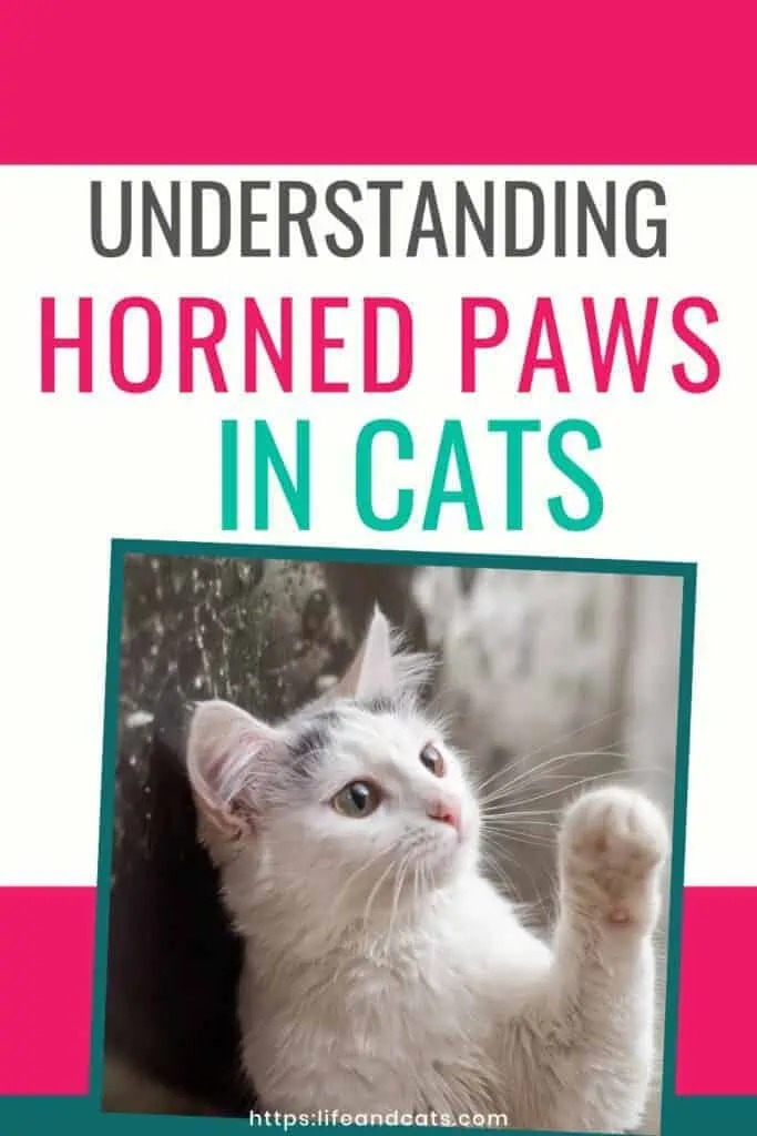 Understanding Your Cat's Horned Paws