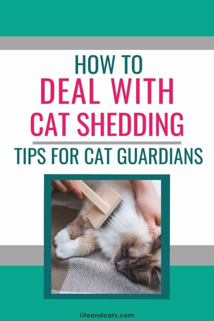 Cat Shedding: Practical Tips for Cat Guardians - Tips For Promoting Shedding