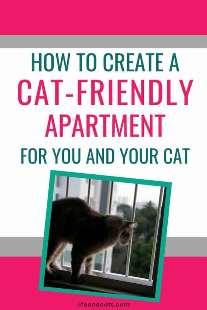 CatFriendly Apartments Tips to Make Your Home a Feline Haven