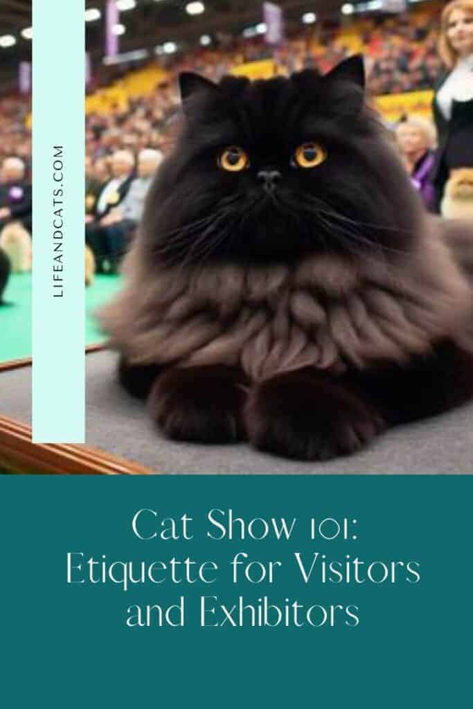 pinterest graphic with text reading cat show 101 etiquette for visitors and exhibitors and a picture of a black persian cat