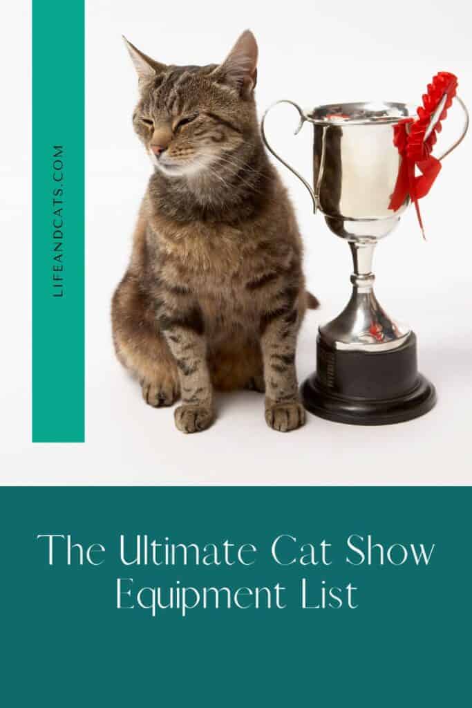 pinterest pin graphic with text reading the ultimate cat show equipment list