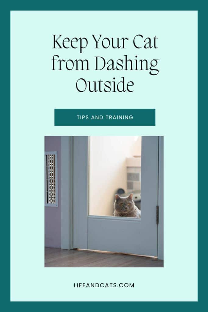 Stop door dashing cats. Keep your cat from running out the door. Pinterest graphic featuring a cat trying to get out the front door.