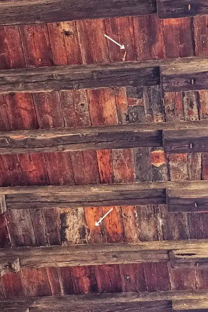 Timber ceiling at Corte Isolani in Bologna, where three medieval arrows are mysteriously embedded — a curious legend among Bologna’s seven secrets.