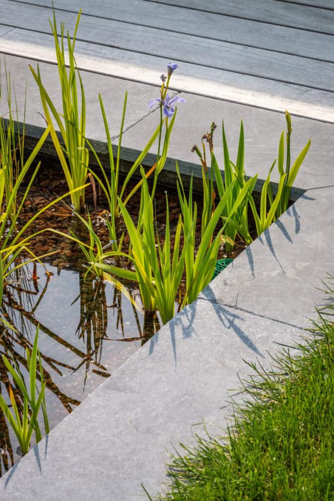 Villatuin met zwemvijver te Sint-Amands door Concept Gardens