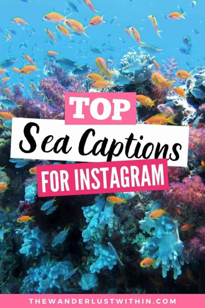200 Best Sea Quotes and Sea Captions That Will Make You Fall in Love with the Ocean 2024 37 quotes about the ocean puns about the ocean