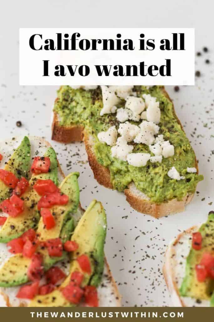 150 Best Quotes about California and the Golden State 2024 The