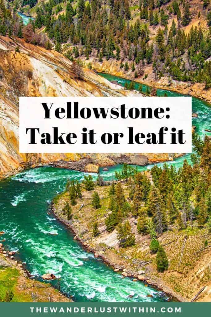 30 Best Yellowstone Quotes That Will Inspire You To Visit 2024 The