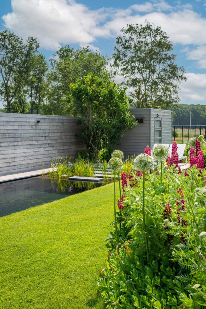 Warm moderne renovatie met zwemvijver door Concept Gardens
