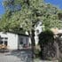 Pension zum Birnbaum