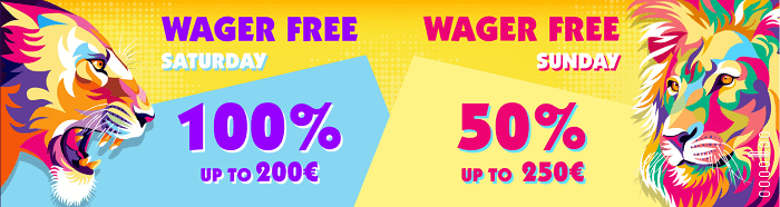 HAZ WAGER FREE BONUS