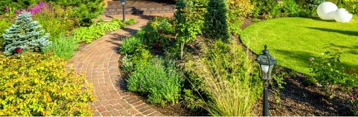 Property Maintenance Companies London: Garden Services You Didn’t Know Existed