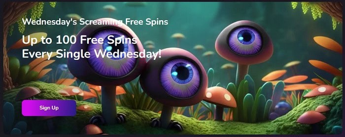 Wednesday Promotion with Free Chips 