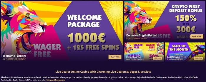 No Wager Bonus at HazCasino.com 